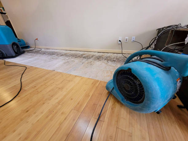 Professional Water Damage Repair technician working in Port Saint Lucie, FL